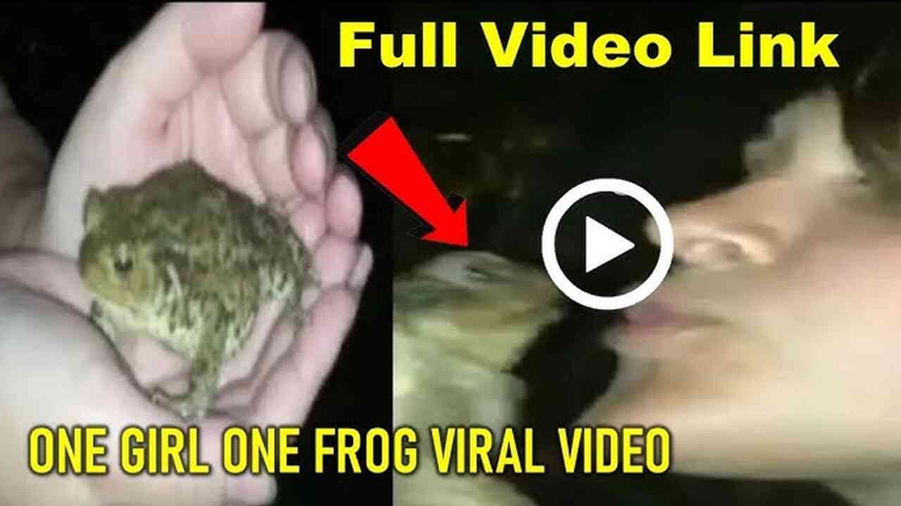 One-Girl-One-Frog-apk-2024