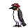 Avatar for bluhatwearingpenguin