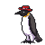 Bluhatwearingpenguin